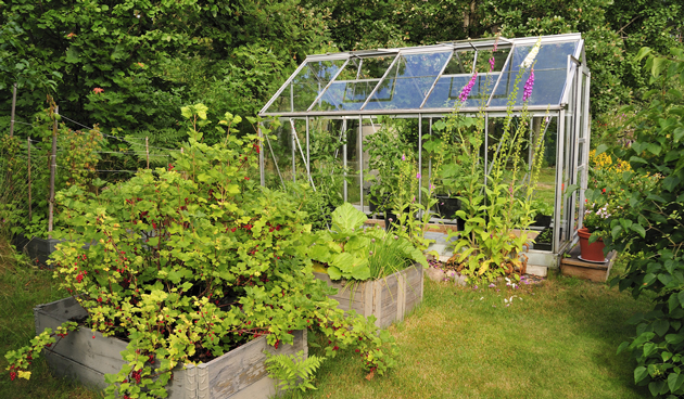 Schoonmaak tips voor je kas De Tuin Op Tafel